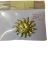 Imagen de Sol dorado