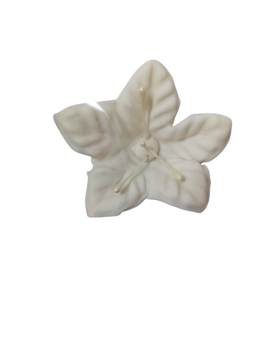 Imagen de Flor con pistilo