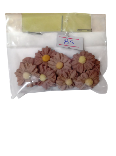 Imagen de Margaritas marrones