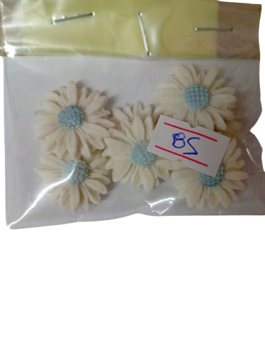 Imagen de Margaritas blancas centro celeste