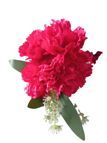 Imagen de Ramo de clavel rojo