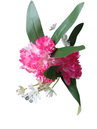 Imagen de Ramo de clavel rosado