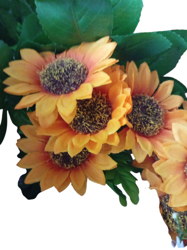 Imagen de Ramo de girasoles