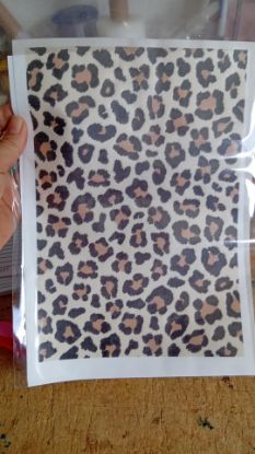 Imagen de Laminas de arroz impresa