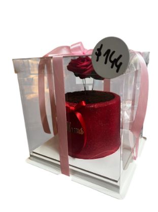 Imagen de Caja acetato para cake maceta